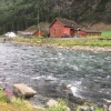 Zdjęcie z Norwegii - Flam