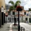 Zdjęcie z Portugalii - Dzień w Funchal
