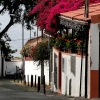 Zdjęcie z Portugalii - Dzień w Funchal.
