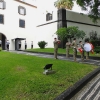 Zdjęcie z Portugalii - Dzień w Funchal.