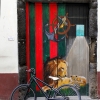 Zdjęcie z Portugalii - Dzień w Funchal.