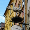 Zdjęcie z Niemiec - spotykając kolejny szyld z bocianem, zastanawiałam się czy jestem w Bawarii ? czy w Alzacji? ㈳
