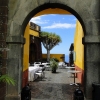 Zdjęcie z Portugalii - Dzień w Funchal