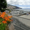 Zdjęcie z Portugalii - Dzień w Funchal
