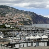 Zdjęcie z Portugalii - Dzień w Funchal