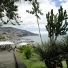 Zdjęcie z Portugalii - Dzień w Funchal