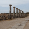 Zdjęcie z Maroka - Volubis