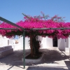 Zdjęcie z Grecji - Santorini