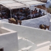 Zdjęcie z Grecji - Santorini
