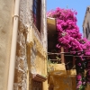 Zdjęcie z Grecji - Chania Kreta