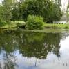 Zdjęcie z Irlandii - OGRODY