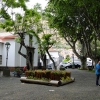 Zdjęcie z Portugalii - Machico