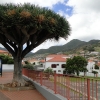 Zdjęcie z Portugalii - Machico