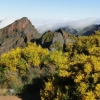 Zdjęcie z Portugalii - Trekking po szczytach Madery