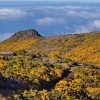 Zdjęcie z Portugalii - Trekking po szczytach Madery