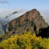 Zdjęcie z Portugalii - Trekking po szczytach Madery