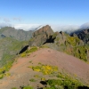 Zdjęcie z Portugalii - Trekking po szczytach Madery