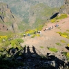Zdjęcie z Portugalii - Trekking po szczytach Madery