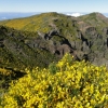 Zdjęcie z Portugalii - Trekking po szczytach Madery