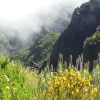 Zdjęcie z Portugalii - Trekking po szczytach Madery