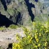 Zdjęcie z Portugalii - Trekking po szczytach Madery