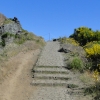 Zdjęcie z Portugalii - Trekking po szczytach Madery