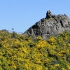 Zdjęcie z Portugalii - Trekking po szczytach Madery