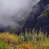 Zdjęcie z Portugalii - Trekking po szczytach Madery