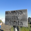 Zdjęcie z Portugalii - Trekking po szczytach Madery