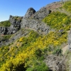 Zdjęcie z Portugalii - Trekking po szczytach Madery