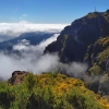 Zdjęcie z Portugalii - Trekking po szczytach Madery