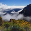 Zdjęcie z Portugalii - Trekking po szczytach Madery