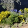 Zdjęcie z Portugalii - Trekking po szczytach Madery