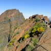 Zdjęcie z Portugalii - Trekking po szczytach Madery