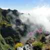 Zdjęcie z Portugalii - Trekking po szczytach Madery