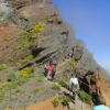Zdjęcie z Portugalii - Trekking po szczytach Madery