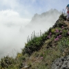 Zdjęcie z Portugalii - Trekking po szczytach Madery