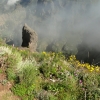 Zdjęcie z Portugalii - Trekking po szczytach Madery