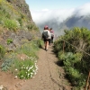 Zdjęcie z Portugalii - Trekking po szczytach Madery