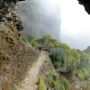 Zdjęcie z Portugalii - Trekking po szczytach Madery