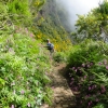 Zdjęcie z Portugalii - Trekking po szczytach Madery