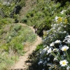 Zdjęcie z Portugalii - Trekking po szczytach Madery