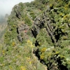 Zdjęcie z Portugalii - Trekking po szczytach Madery