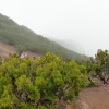 Zdjęcie z Portugalii - Trekking po szczytach Madery