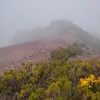 Zdjęcie z Portugalii - Trekking po szczytach Madery