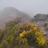 Zdjęcie z Portugalii - Trekking po szczytach Madery