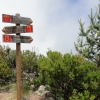 Zdjęcie z Portugalii - Trekking po szczytach Madery