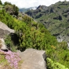 Zdjęcie z Portugalii - Trekking po szczytach Madery