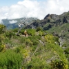 Zdjęcie z Portugalii - Trekking po szczytach Madery