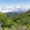 Zdjęcie z Portugalii - Trekking po szczytach Madery